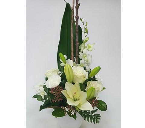 Eliza-—-Same-day-flower-delivery-in-Darwin-NT.jpg